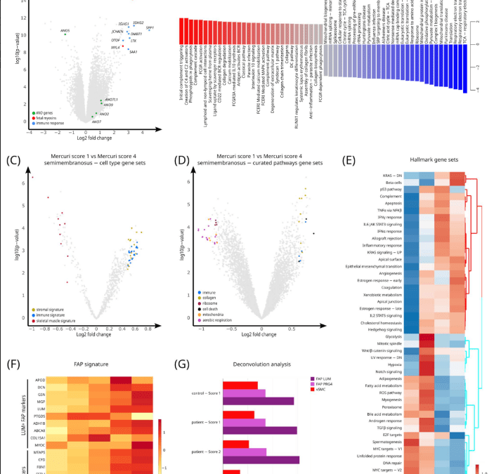 Bioinformatics support to the clinician: Unlock insights from RNA-seq data