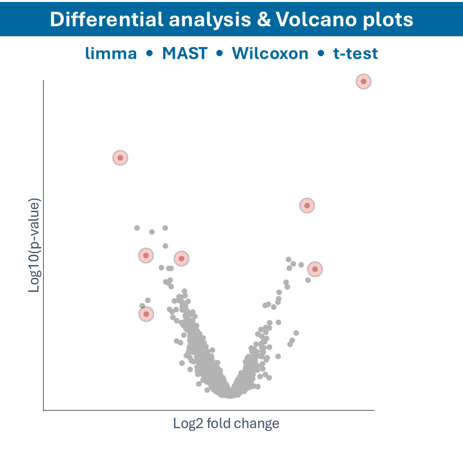 Data visualizations - Unicle